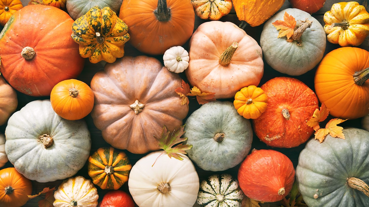 Pumpkin assortment - Slideshow